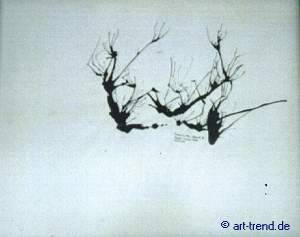 trees in the desert